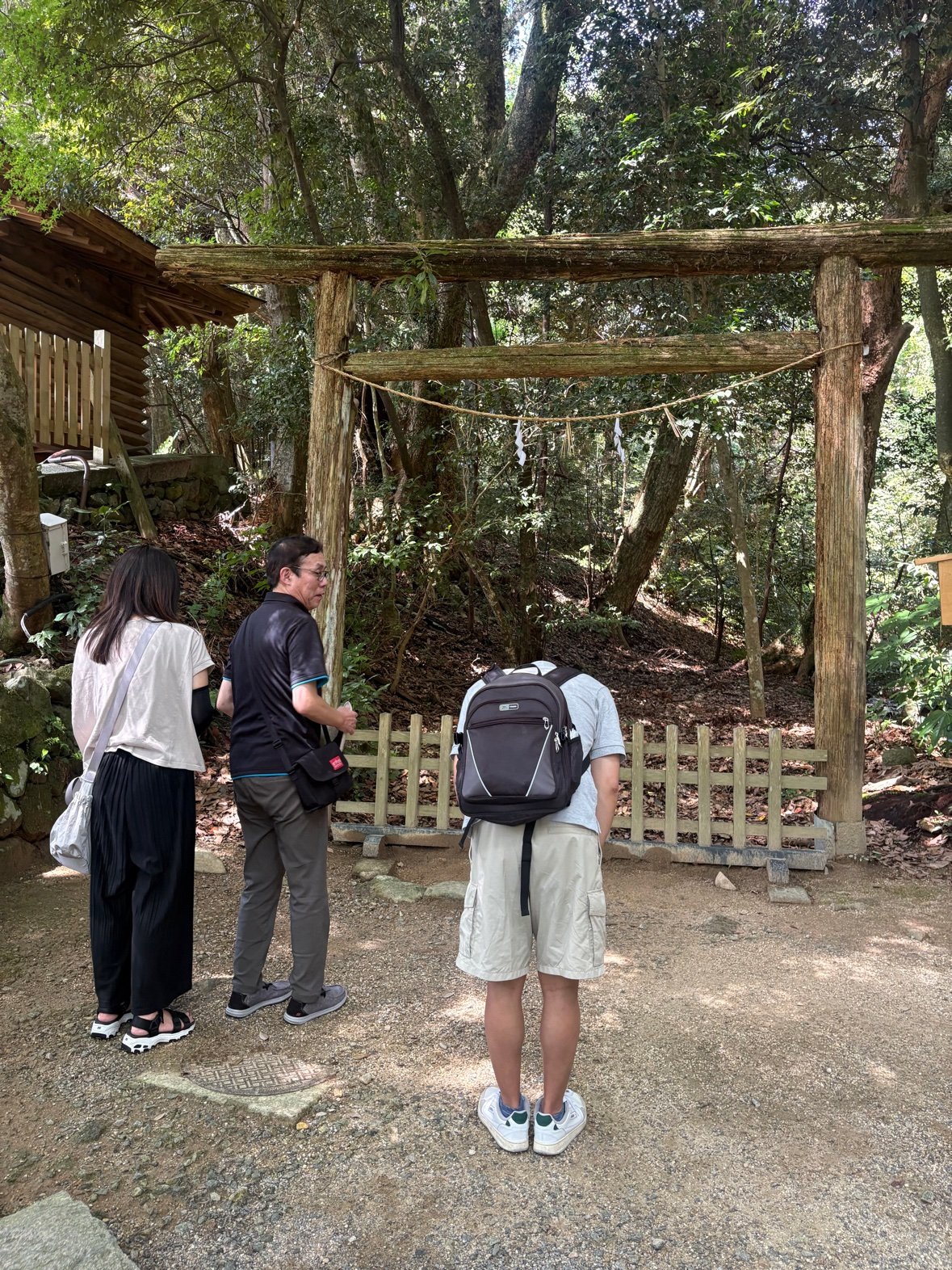 Cổng torii trong rừng thiêng của đền Keta Taisha